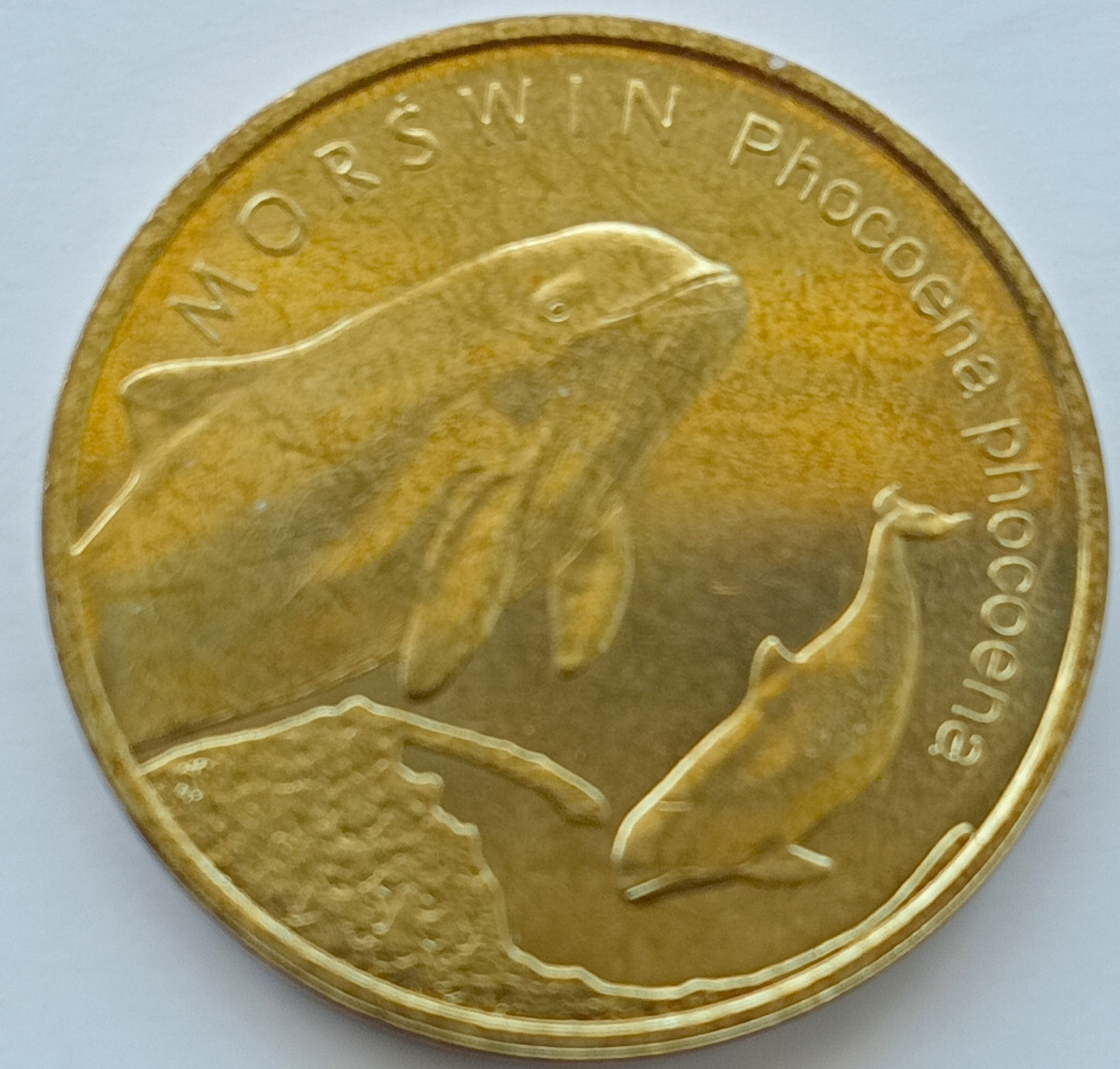 2 zł 2004 - Zwierzęta świata: Morświn (łac. Phocoena phocoena)
