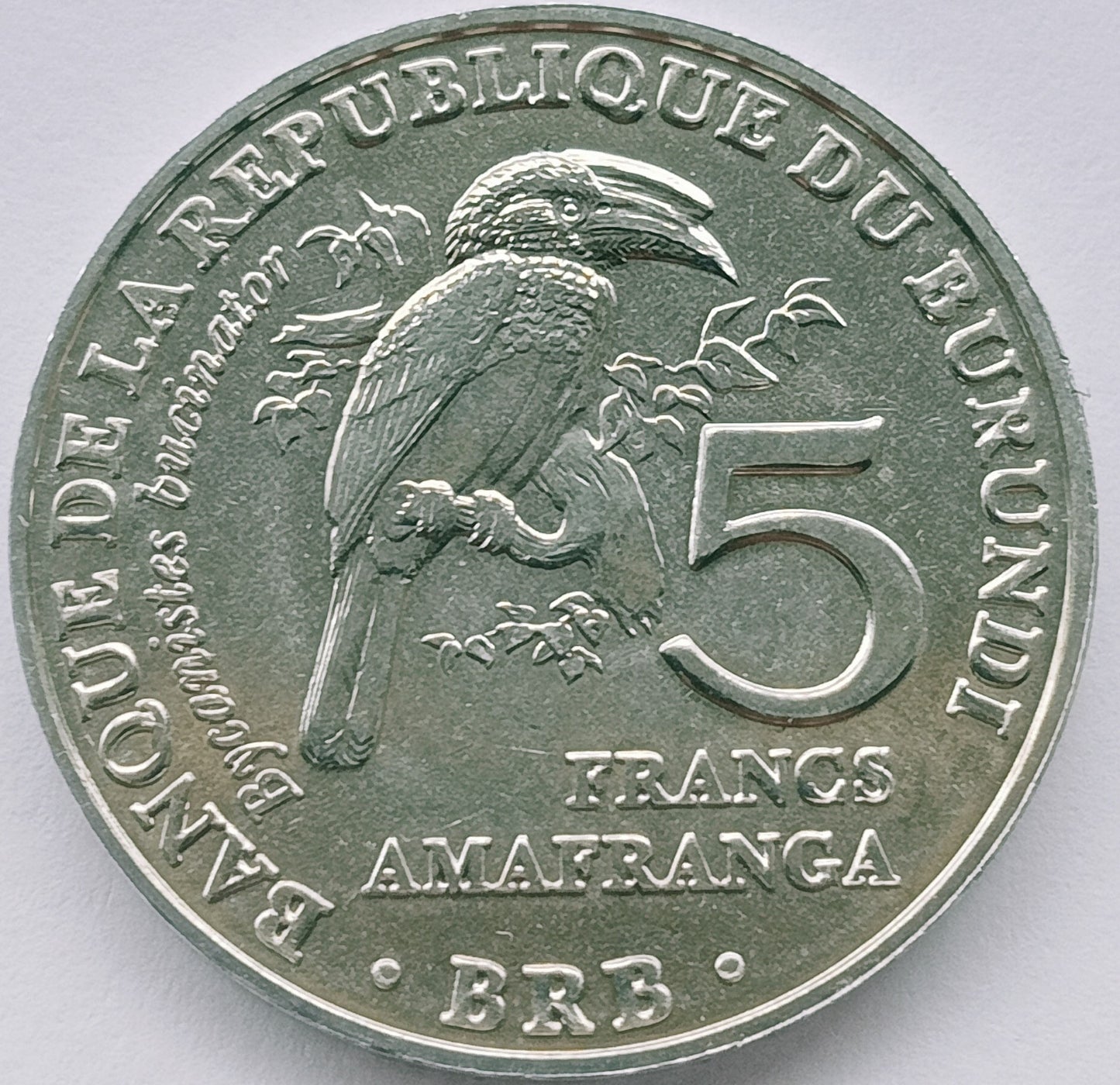 Burundi 5 Franków 2014 Dzioborożec (Bycanistes bucinator)