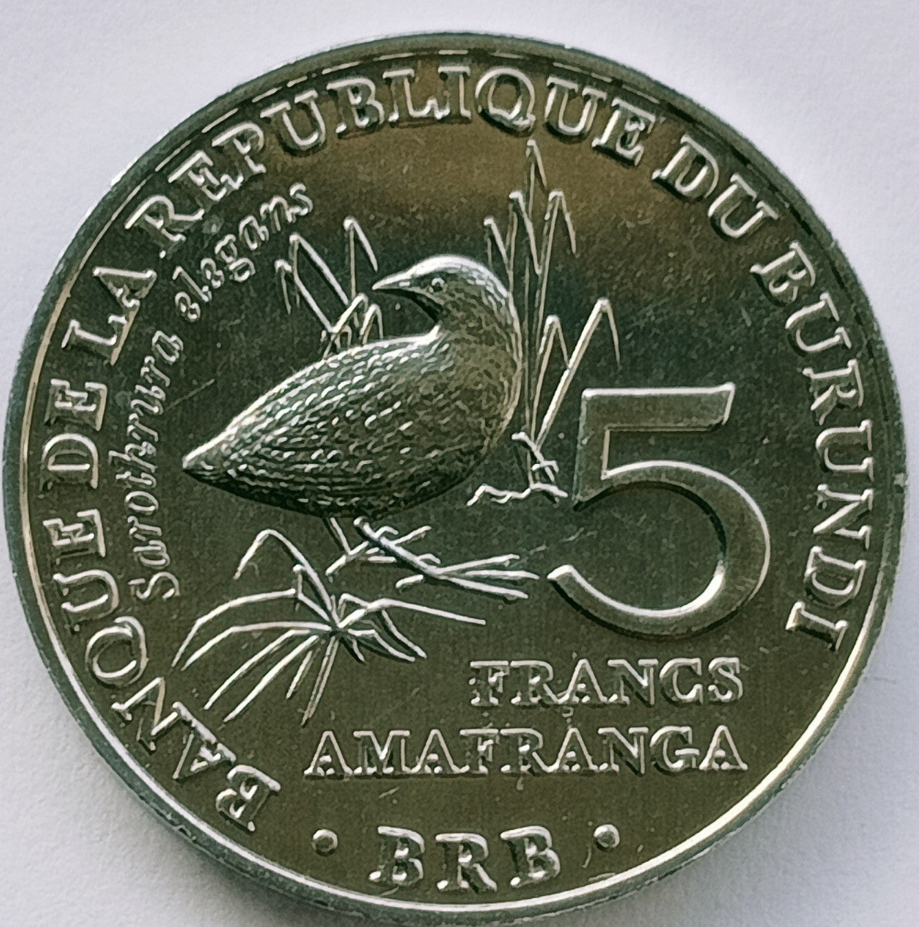Burundi 5 Franków 2014 Kusokurka plamista (Sarothrura elegans)