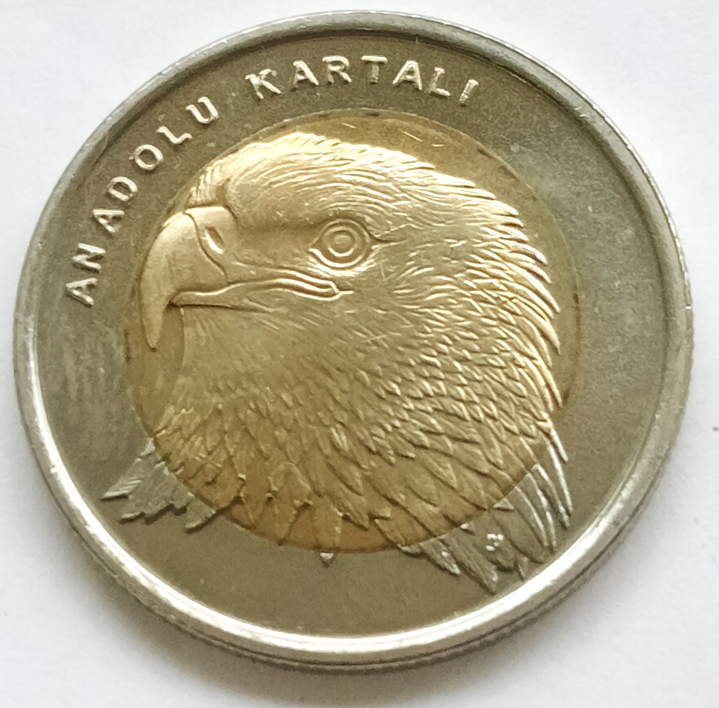 Turcja 1 Lira 2014 Orzeł Anatolijski