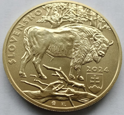 Słowacja 5 euro 2024 Żubr