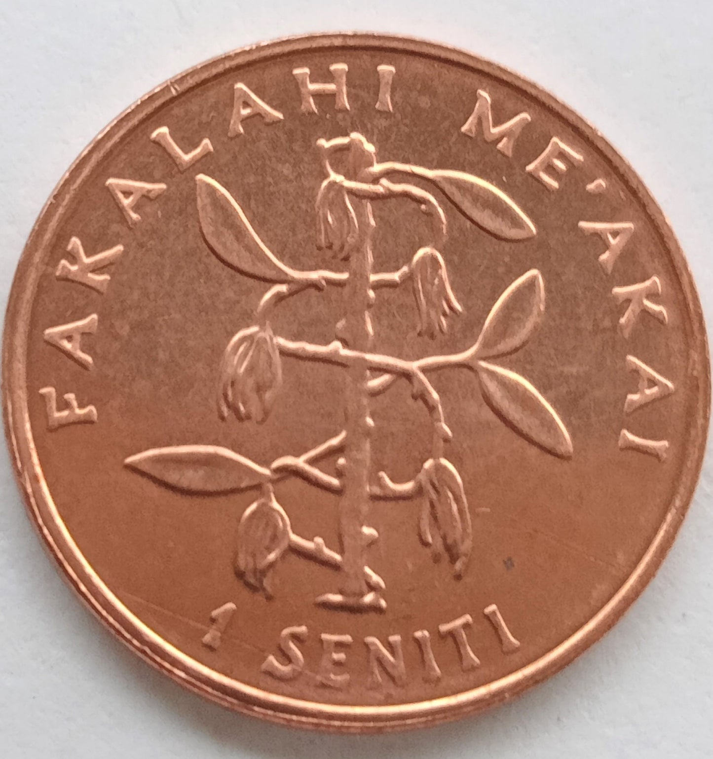 Tonga 1 Seniti 2005